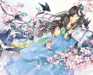 含羞草2023入口